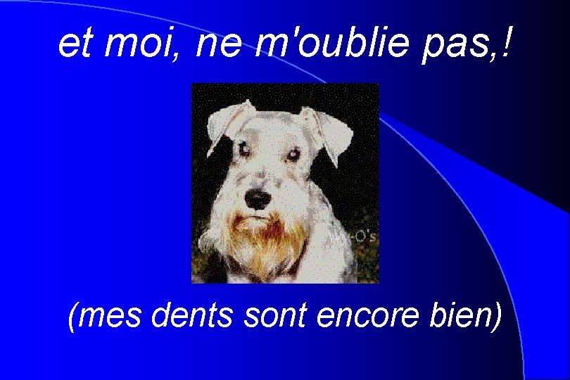 et moi, ne m'oublie pas, ! (mes dents sont encore bien) 