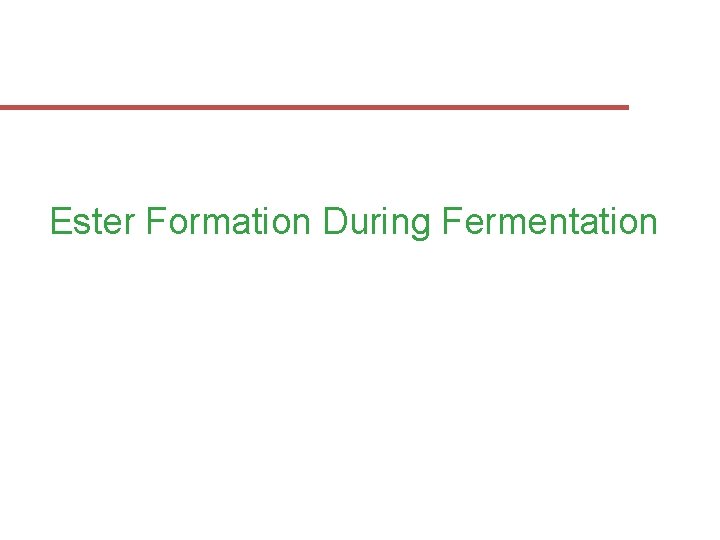 Ester Formation During Fermentation 