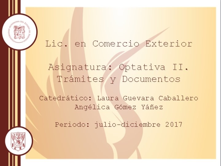 Lic. en Comercio Exterior Asignatura: Optativa II. Trámites y Documentos Catedrático: Laura Guevara Caballero