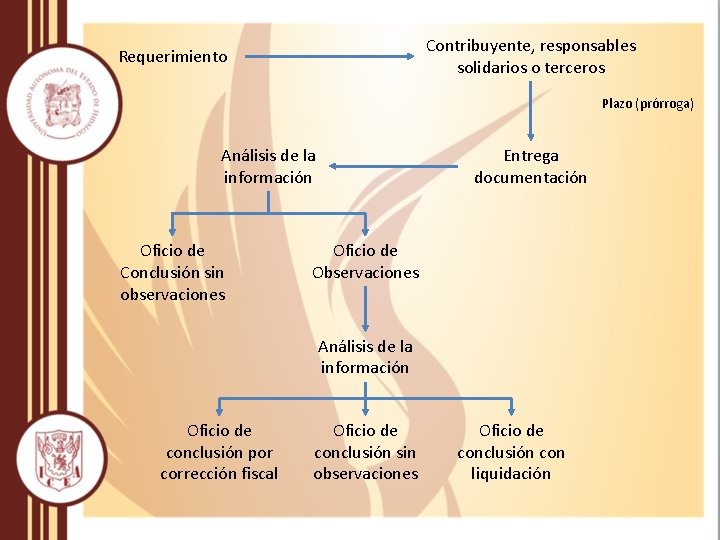 Contribuyente, responsables solidarios o terceros Requerimiento Plazo (prórroga) Análisis de la información Oficio de