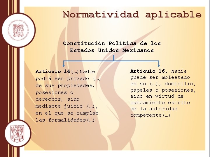 Normatividad aplicable Constitución Política de los Estados Unidos Mexicanos Artículo 14(…)Nadie podrá ser privado