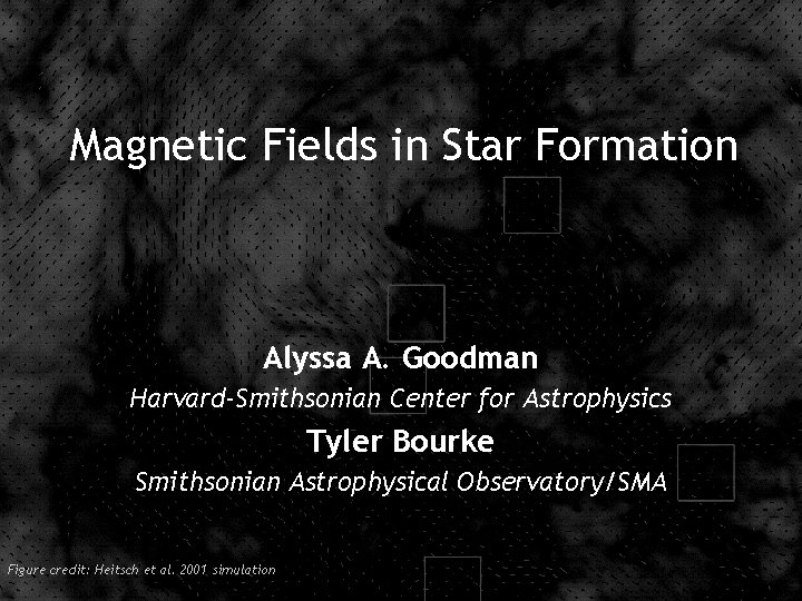 Magnetic Fields in Star Formation Alyssa A. Goodman Harvard-Smithsonian Center for Astrophysics Tyler Bourke