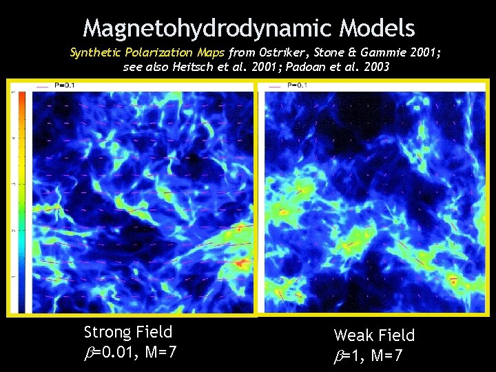 Magnetohydrodynamic Models Synthetic Polarization Maps from Ostriker, Stone & Gammie 2001; see also Heitsch