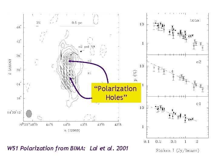 “Polarization Holes” W 51 Polarization from BIMA: Lai et al. 2001 
