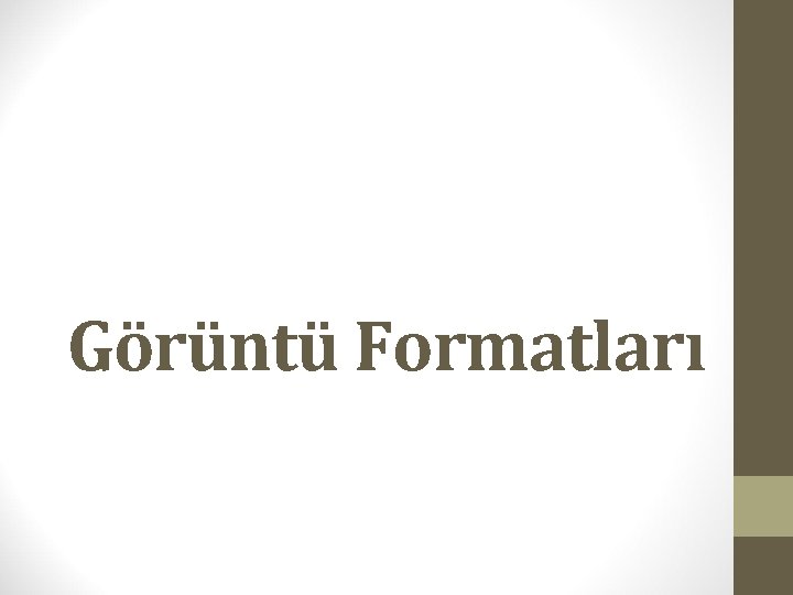 Görüntü Formatları 
