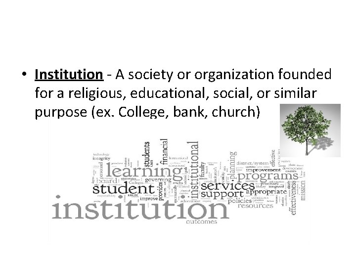  • Institution - A society or organization founded for a religious, educational, social,