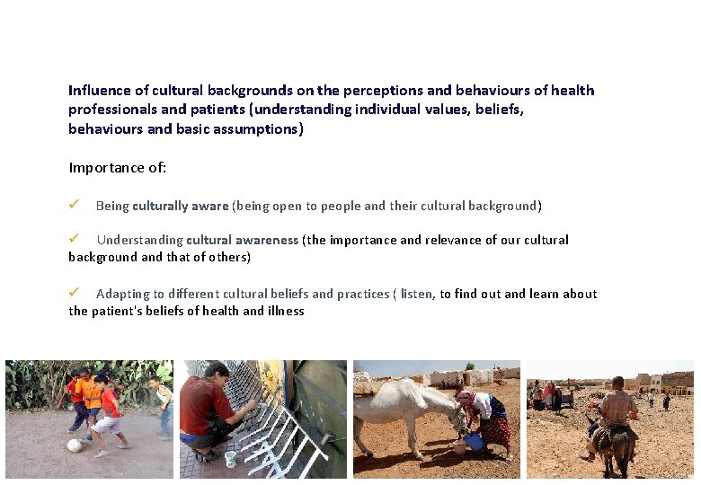 Influence of cultural backgrounds on the perceptions and behaviours of health professionals and patients