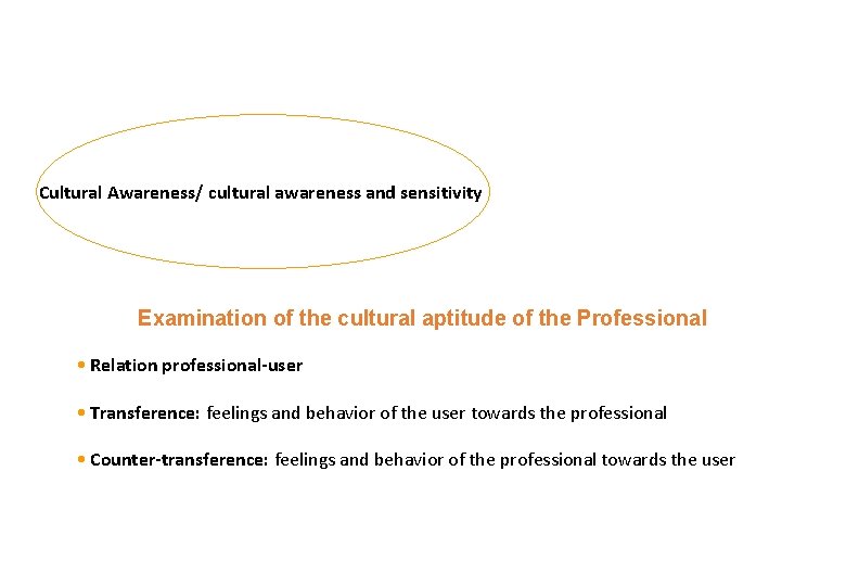 Cultural Awareness/ cultural awareness and sensitivity Examination of the cultural aptitude of the Professional