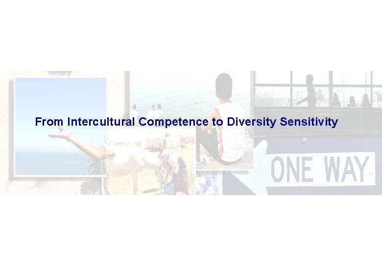 From Intercultural Competence to Diversity Sensitivity 