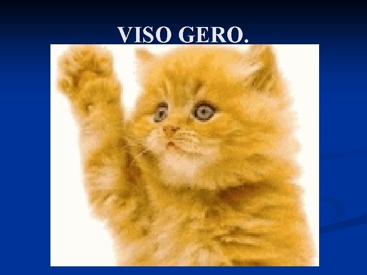 VISO GERO. 