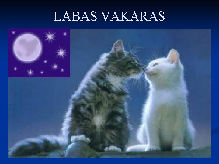 LABAS VAKARAS 