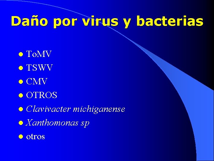 Daño por virus y bacterias To. MV l TSWV l CMV l OTROS l