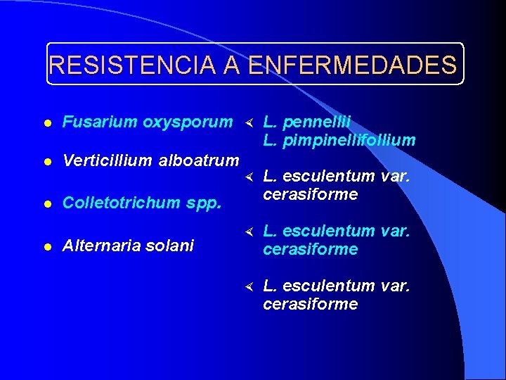 RESISTENCIA A ENFERMEDADES l Fusarium oxysporum l Verticillium alboatrum l l × L. pennellii