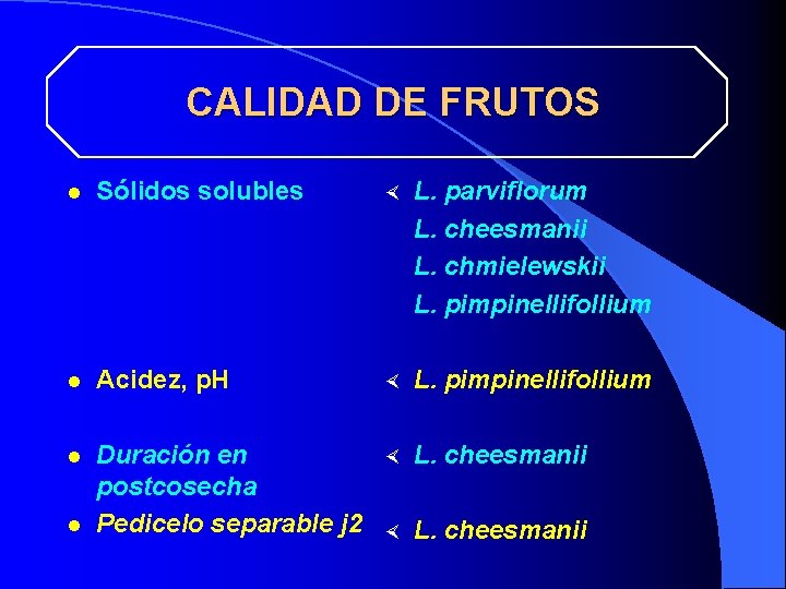 CALIDAD DE FRUTOS l Sólidos solubles × L. parviflorum L. cheesmanii L. chmielewskii L.