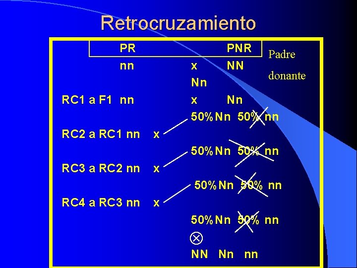 Retrocruzamiento PR nn PNR NN x donante Nn x Nn 50% nn RC 1