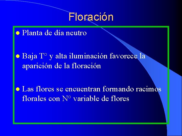 Floración l Planta de día neutro l Baja T° y alta iluminación favorece la