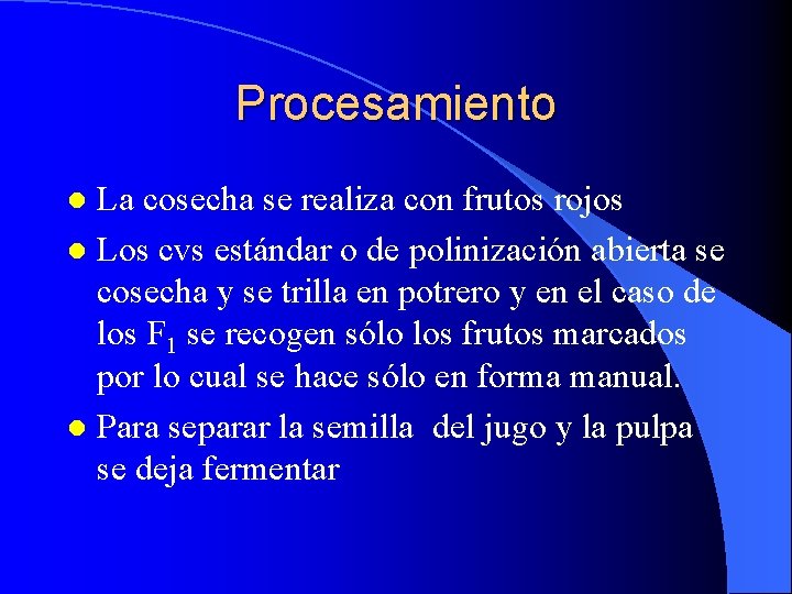 Procesamiento La cosecha se realiza con frutos rojos l Los cvs estándar o de