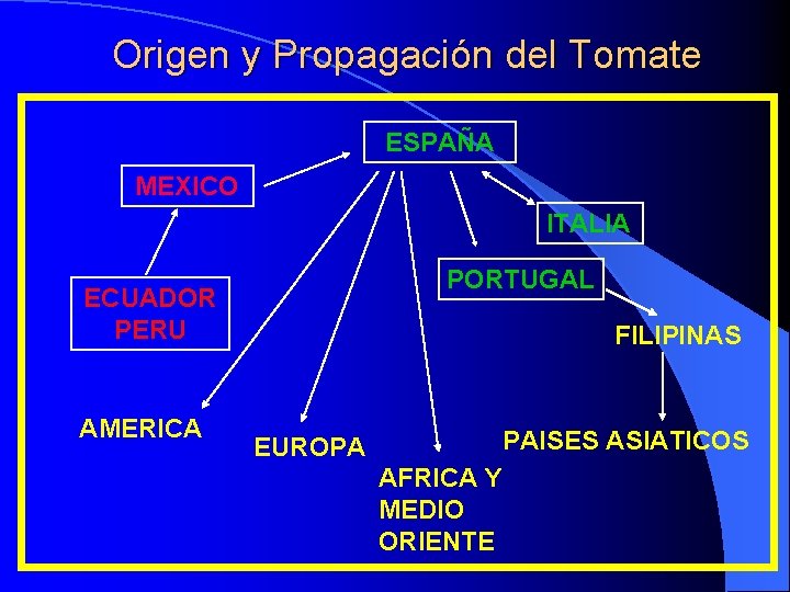 Origen y Propagación del Tomate ESPAÑA MEXICO ITALIA PORTUGAL ECUADOR PERU AMERICA FILIPINAS PAISES