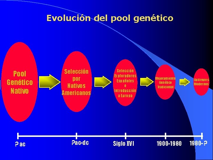 Evolución del pool genético Pool Genético Nativo ? ac Selección por Nativos Americanos ?