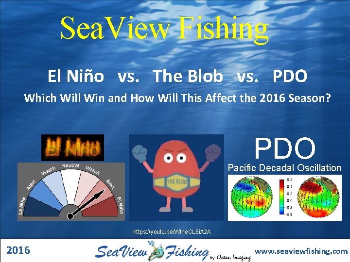 Sea. View Fishing El Niño vs. The Blob vs. PDO Which Will Win and