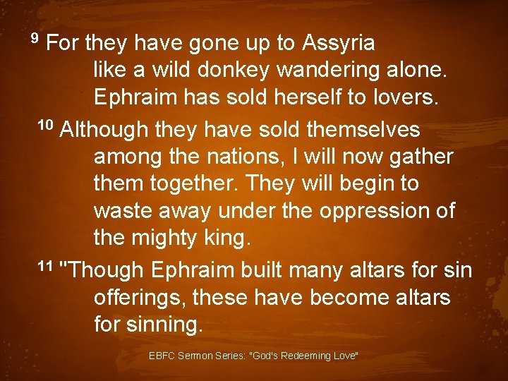 9 For they have gone up to Assyria like a wild donkey wandering alone.