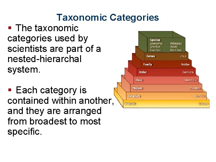 Taxonomic Categories § The taxonomic categories used by scientists are part of a nested-hierarchal