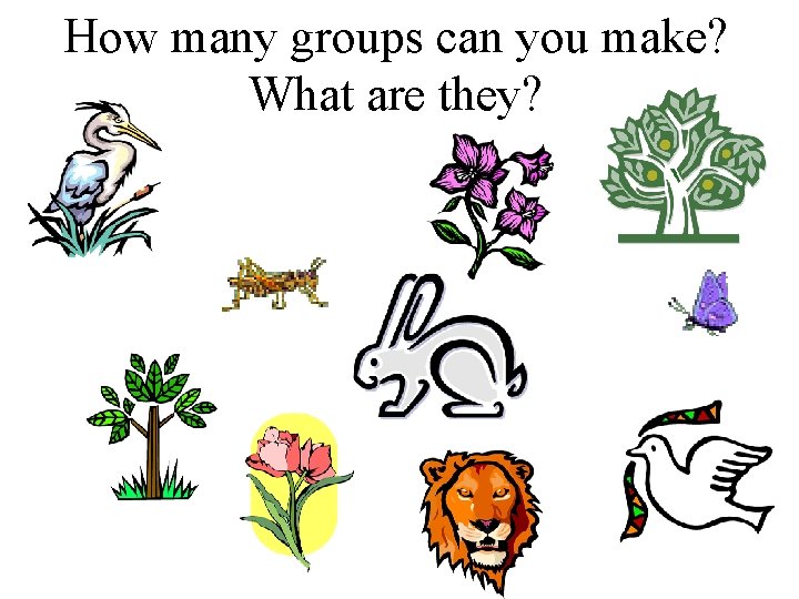 How many groups can you make? What are they? 