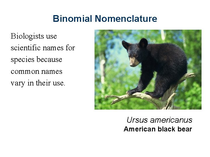Binomial Nomenclature Biologists use scientific names for species because common names vary in their