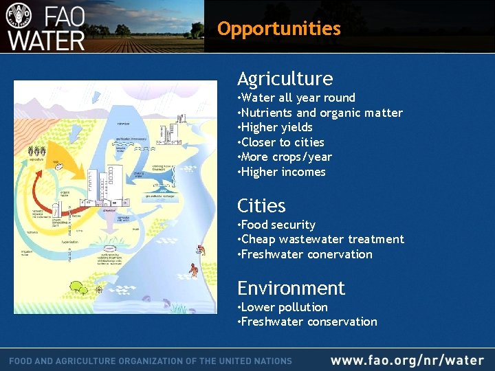 Opportunities Agriculture • Water all year round • Nutrients and organic matter • Higher