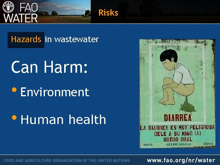 Risks Hazards in wastewater Can Harm: • Environment • Human health 