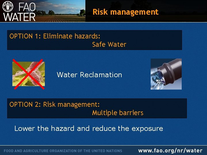 Risk management OPTION 1: Eliminate hazards: Safe Water Reclamation OPTION 2: Risk management: Multiple