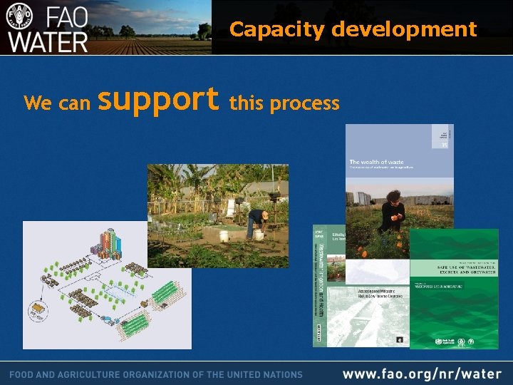 Capacity development We can support this process 