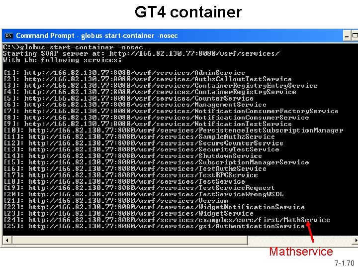 GT 4 container Mathservice 7 -1. 70 