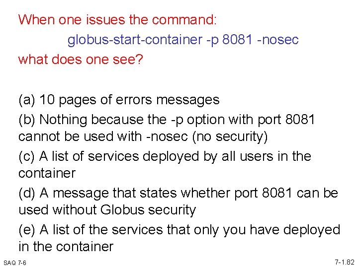 When one issues the command: globus-start-container -p 8081 -nosec what does one see? (a)