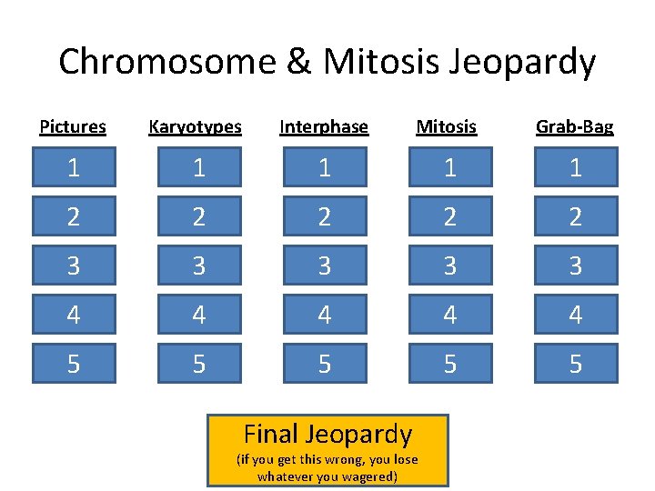 Chromosome & Mitosis Jeopardy Pictures Karyotypes Interphase Mitosis Grab-Bag 1 1 1 2 2