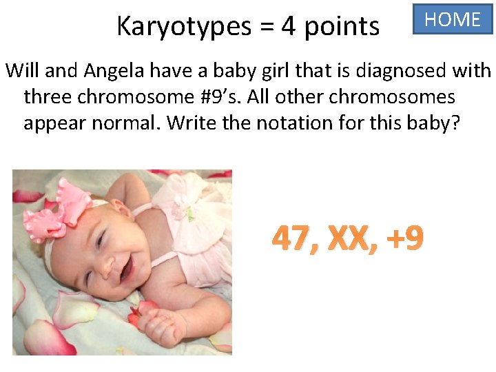 Karyotypes = 4 points HOME Will and Angela have a baby girl that is