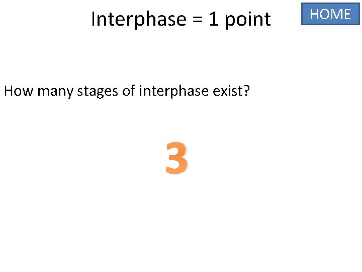 Interphase = 1 point How many stages of interphase exist? 3 HOME 