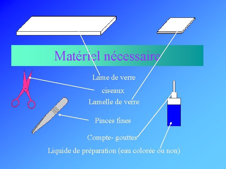 Matériel nécessaire Lame de verre ciseaux Lamelle de verre Pinces fines Compte- gouttes Liquide