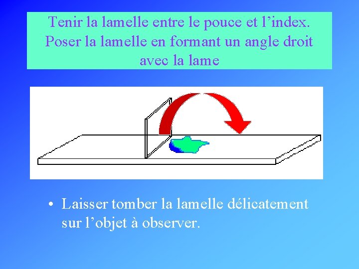 Tenir la lamelle entre le pouce et l’index. Poser la lamelle en formant un