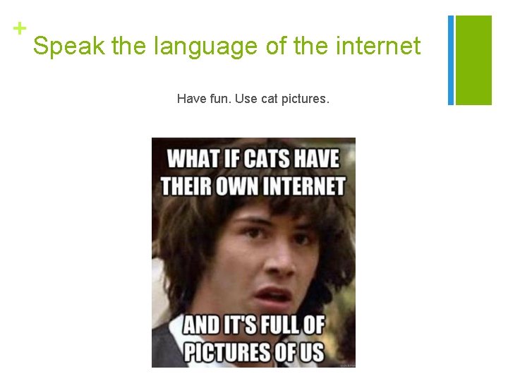 + Speak the language of the internet Have fun. Use cat pictures. 