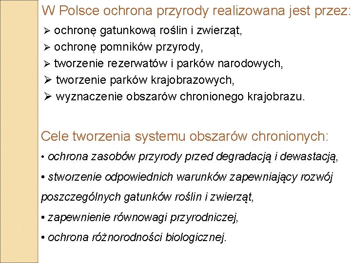 W Polsce ochrona przyrody realizowana jest przez: Ø ochronę gatunkową roślin i zwierząt, Ø