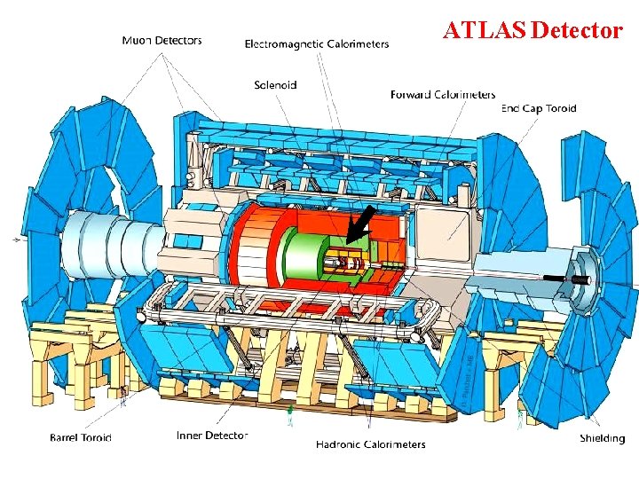 ATLAS Detector 