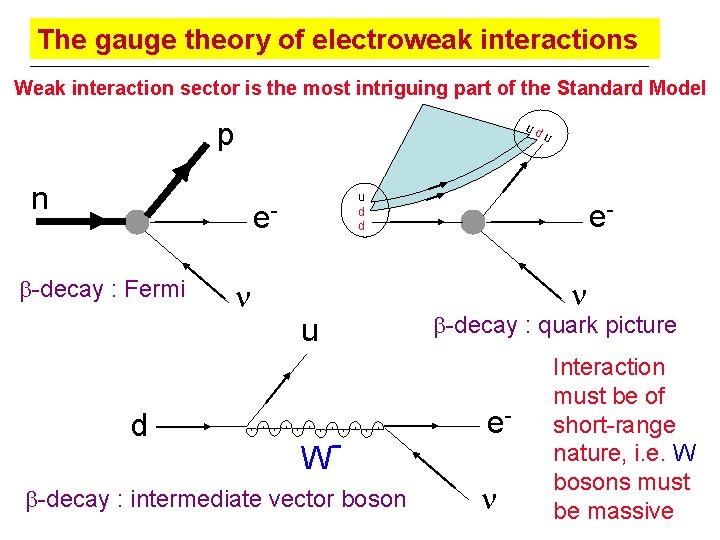 The gauge theory of electroweak interactions Weak interaction sector is the most intriguing part