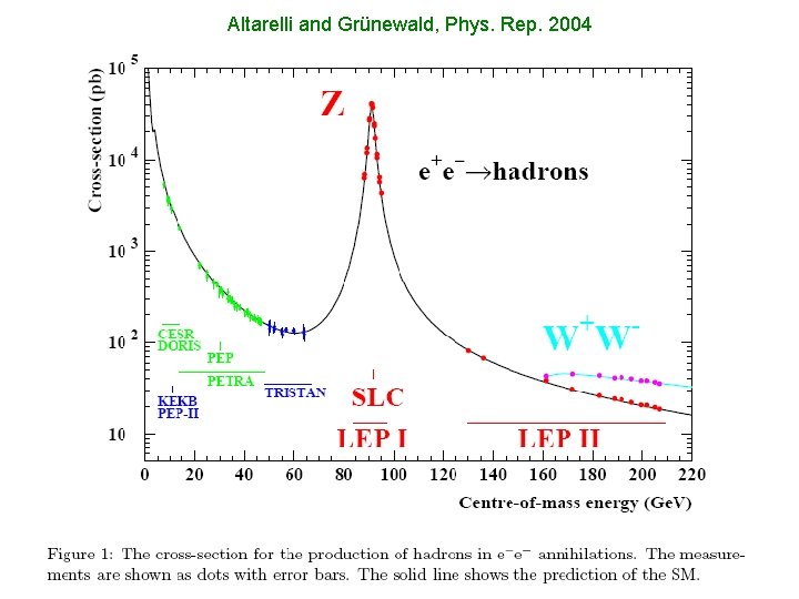 Altarelli and Grünewald, Phys. Rep. 2004 