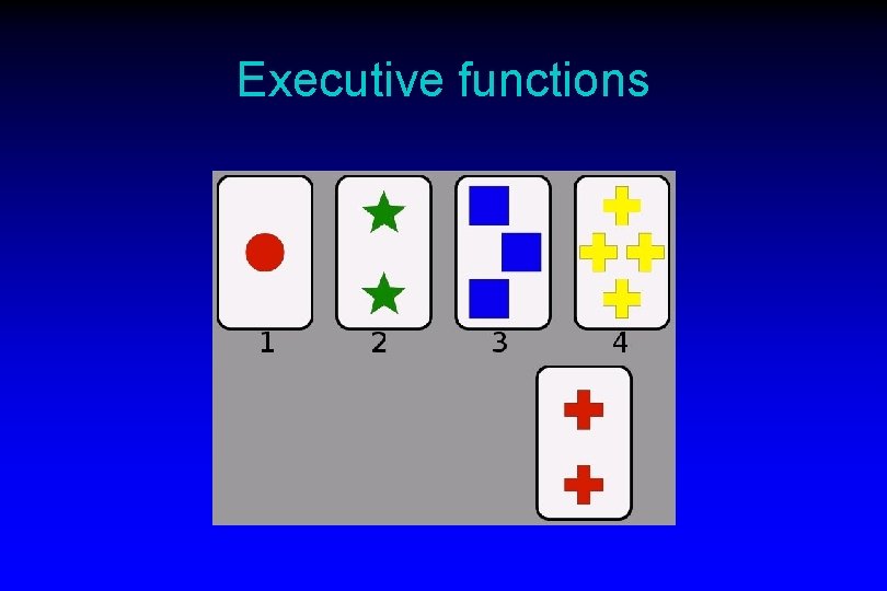 Executive functions 