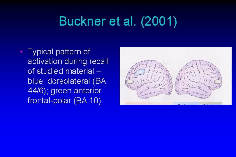 Buckner et al. (2001) • Typical pattern of activation during recall of studied material