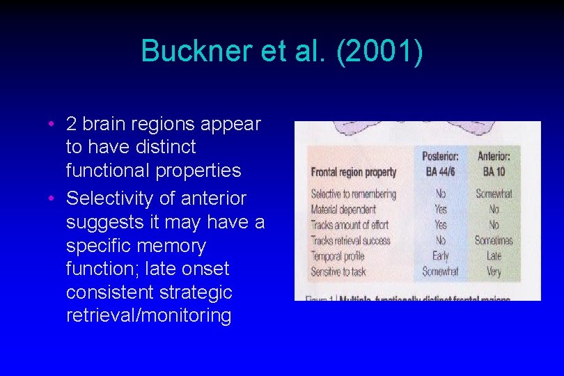Buckner et al. (2001) • 2 brain regions appear to have distinct functional properties