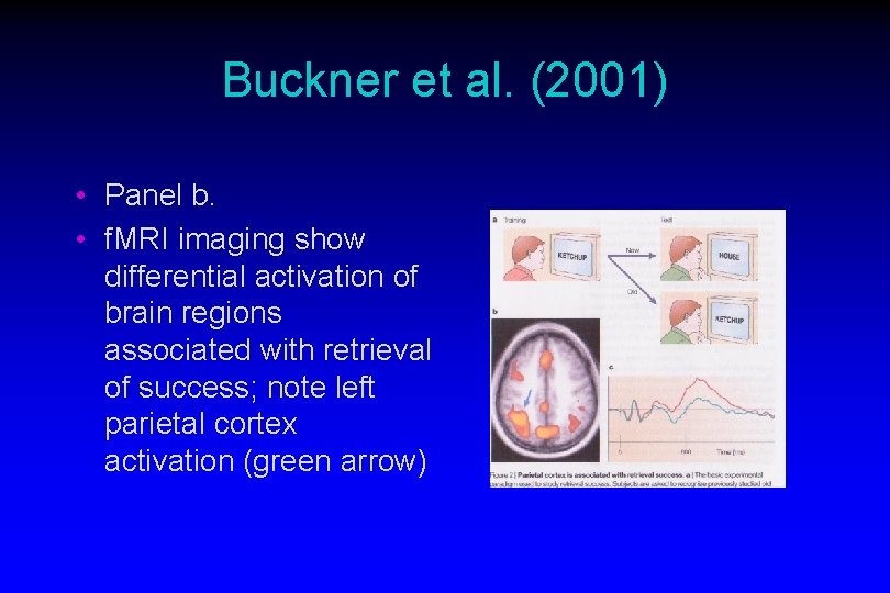 Buckner et al. (2001) • Panel b. • f. MRI imaging show differential activation