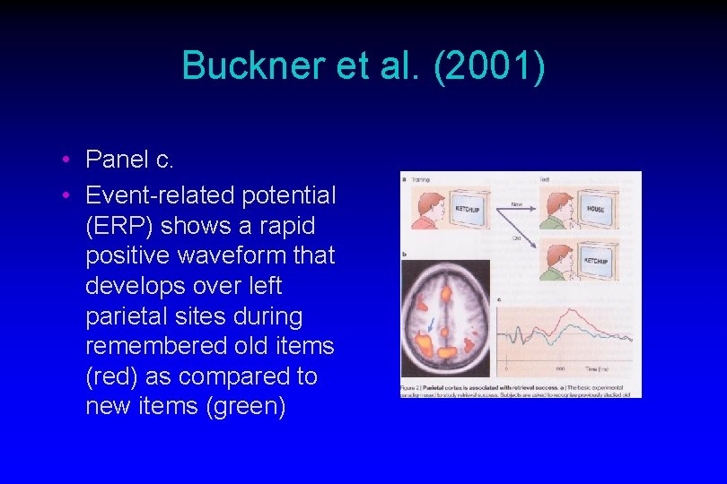 Buckner et al. (2001) • Panel c. • Event-related potential (ERP) shows a rapid