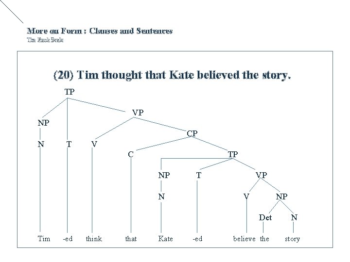 More on Form : Clauses and Sentences The Rank Scale (20) Tim thought that